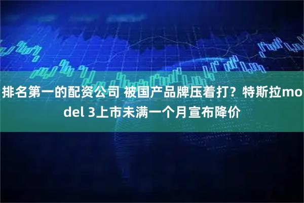 排名第一的配资公司 被国产品牌压着打？特斯拉model 3上市未满一个月宣布降价