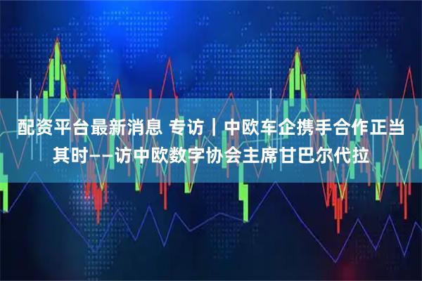配资平台最新消息 专访｜中欧车企携手合作正当其时——访中欧数字协会主席甘巴尔代拉