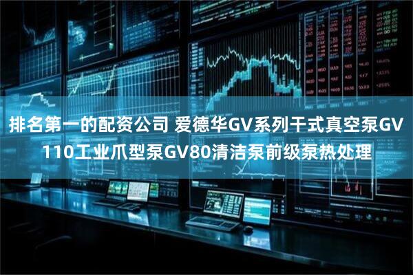 排名第一的配资公司 爱德华GV系列干式真空泵GV110工业爪型泵GV80清洁泵前级泵热处理