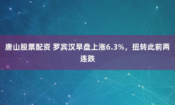 唐山股票配资 罗宾汉早盘上涨6.3%，扭转此前两连跌